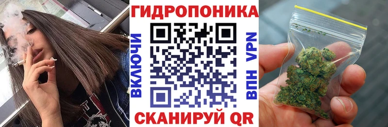 где найти Тотьма Марихуана OG Kush